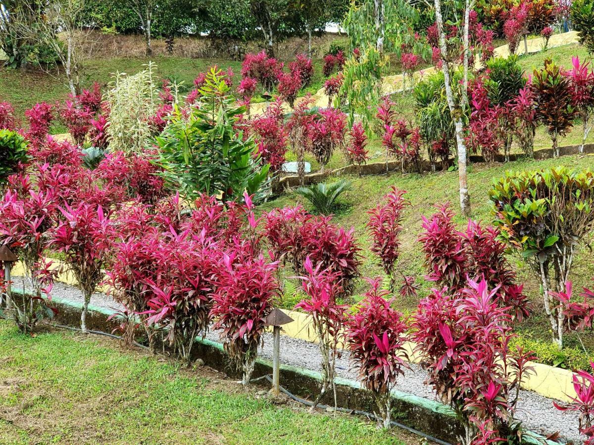 Hosteria Kasadasa Santo Domingo de los Colorados Luaran gambar